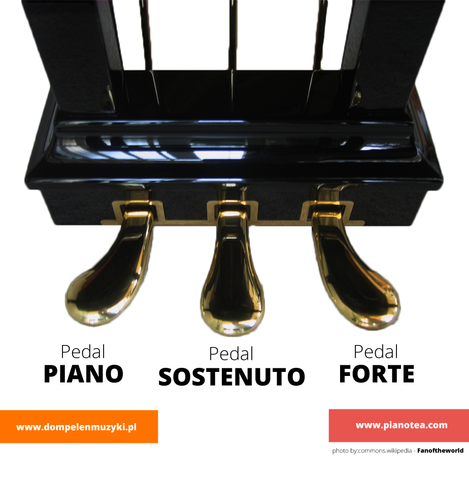 Heer links Indica Function of piano pedals. | PianoTea